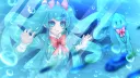 Calamari Corner splash