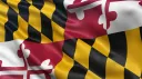 UMD Gaming splash