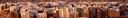 Yemeni Discord