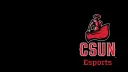 CSUN Esports splash