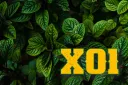 X01 Community splash