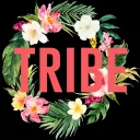 The Tribe splash