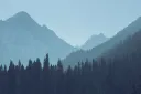 Cat Pictures! Discord server banner