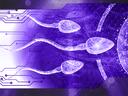 AnE Banner
