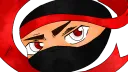 Team Ninja Craft splash
