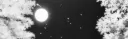 Moon ✦ Light 🌙 splash