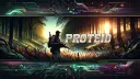 El Rincón de ProTeiD splash