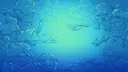splash