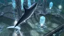 Ecco the Dolphin Online splash