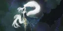 Dark Dragon community splash