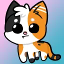 Catto Cafe splash