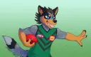 Furry Australian Football League splash