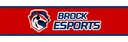 Brock Esports splash