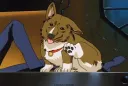 Backstreet Borks splash