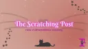 The Scratching Post splash