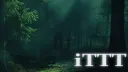 its Tree Tag Time! splash