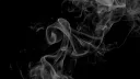 𝐓𝐡𝐞 𝐑𝐚𝐯𝐞𝐧'𝐬 𝐍𝐨𝐨𝐤 splash