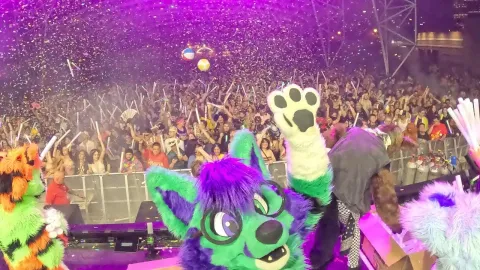 Verplex Crew splash