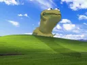 Kermit Emote Centre splash