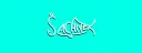 Sachi-beko splash