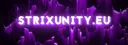Strixunity's I Offizieler Discord splash