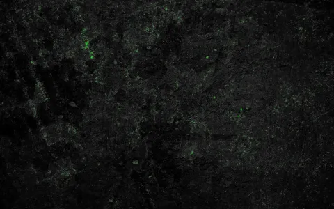 The Eternal Garden splash