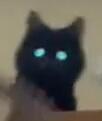 The Void Banner
