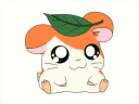 CAJJI's Hamster House splash
