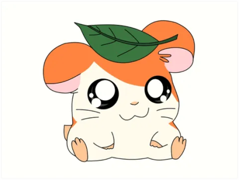 CAJJI's Hamster House splash