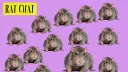 Rat Chat splash