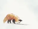Da Cuties Discord server banner