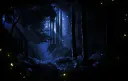 Mythical splash