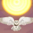 Owls Nest splash