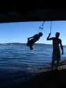 splash