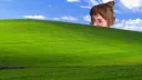 The Dishcord splash