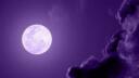 Moonlight Bay Banner