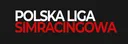 Polska Liga Simracingowa splash
