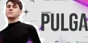 Pulga splash