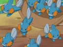 Mudkip Lake splash