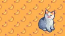 banana cat club 🍌 splash