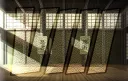 The Dojo splash
