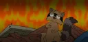 splash