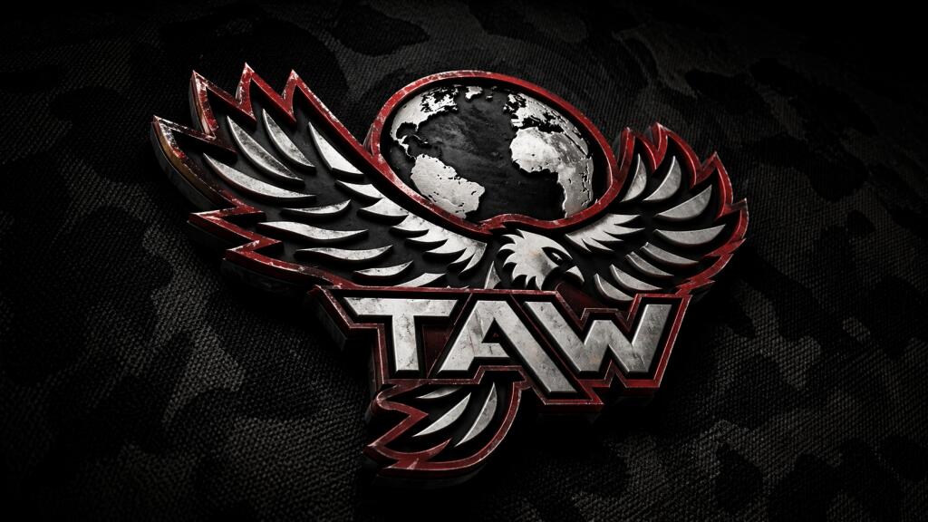 Taw The Art of Warfare