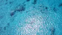 splash
