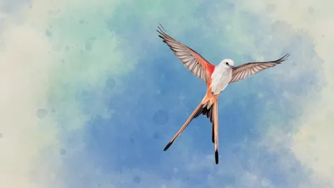 Wingspan & Wyrmspan Digital splash