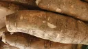 YUCA server splash