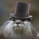 Otter Land Banner