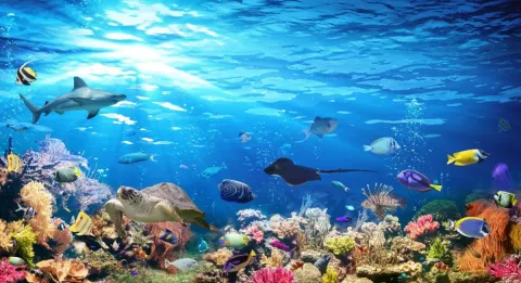 Fish Tank splash