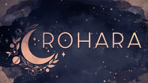 The Rohirrim splash