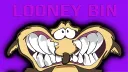 The Looney Bin splash